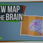 A New Map Of The Human Brain