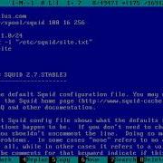 How To Configure Proxy Server On Debian