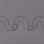 Droplet Microfluidics For The Highly Controlled Synthesis Of Branched Gold Nanoparticles
