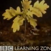 BBC LEARNING ZONE Continuity 28th January 1998 NICAM Stereo