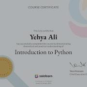 Sololearn Certificates Introduction To Python 4