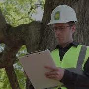 Basic Tree Risk Assessment