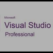 Installing Visual Studio 2012