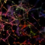 Magic Colorful Plexus Tutorial In After Effects After Effects Tutorial