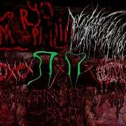 Goregrind Five Way Split 2022 Grindcore Goregrind Cybergrind