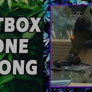 WEED MEMES Fail Compilation 117 Fatally Stoned
