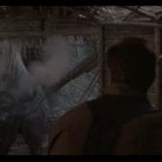 PREDATOR KNOCK KNOCK SHOOTING
