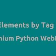 Python WebDriver Find Element By Tag Name