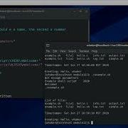 Bash Shell Programming Parameters Conditionals Loops