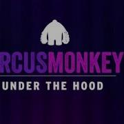 CircusMonkey Under The Hood