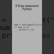 Оператор If Else в Python