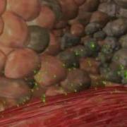 Aposense Process For Self Elimination Of Cells Produced By Virtual Point