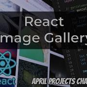 Making A Image Gallery With React