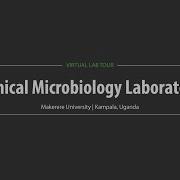 Makerere University Virtual Lab Tour Clinical Microbiology Laboratory