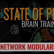 Brain Training State Of Play Brain Network Modularity 2