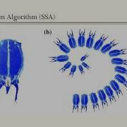 Salp Swarm Inspired Algorithm For Parameters Identification Of Photovoltaic Cell Models
