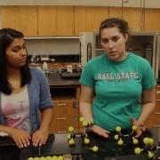 Lab 5 Structures Of Hydrocarbons A Molecular Modeling Lab