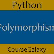 Polymorphism In Python