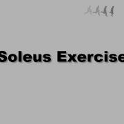 Soleus Exercise The Gait Lab
