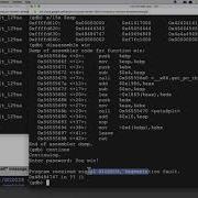CNIT 127 Project ED 202 Demo Buffer Overflows