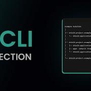 How To Protect With CLI Shield NET Obfuscator