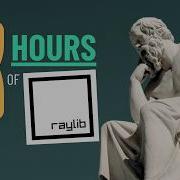 Can I Learn Raylib In Just 48 Hours