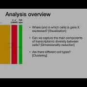 W31 Spatial Transcriptomics Day 2