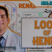 Renal Loop Of Henle