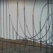 Death By Rollercoaster The Euthanasia Coaster