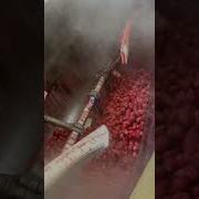 Strawberry Jam Making Machine Fruit Jam Under Vacuum Processing Fruitjam Strawberryjamrecipe