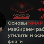 Как использовать NMAP Подробный анализ работы утилиты Разбираем основные флаги Часть 1 я
