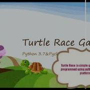 Turtle Race Game Python Pycharm Python Programming