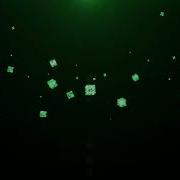 05 SynerGill Plexus Of Particles