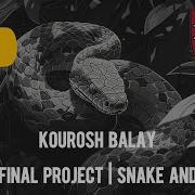 My CS50P Final Project Snake And Apple