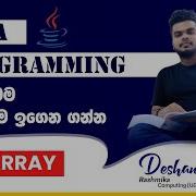 JAVA Array In Sinhala 1D Array
