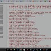 Web Security Command Execution Vulnerability