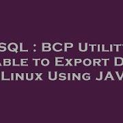 SQL BCP Utility Unable To Export Data In Linux Using JAVA