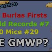 Epic Burlas Firsts World Records 100 Mice LAST VIDEO TRANSFORMICE