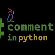 Comments In Python Programming Parrot