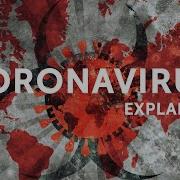 WATCH Explained How The Coronavirus Is Transmitted And How To Keep Yourself Safe
