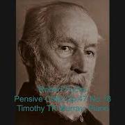 Fuchs Sinnendes Kind Op 47 No 18 Timothy TK Murray Piano Piano Romantic Beautiful