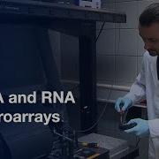 DNA And RNA Microarrays Preparation Of Large Nucleic Acid Libraries Protocol Preview