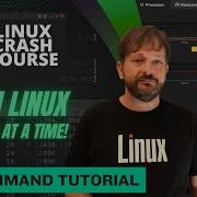 The Cat Command In Linux Featuring Real Cats Linux Crash Course Series