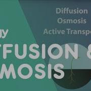 Transport In Cells Diffusion And Osmosis Cells Biology FuseSchool