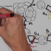 Oncogenetics Mechanism Of Cancer Tumor Suppressor Genes And Oncogenes