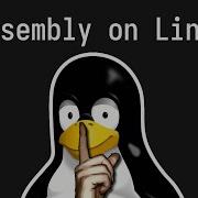 You Should NOT Program On Linux Like This