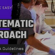 PALS 2025 Systematic Approach
