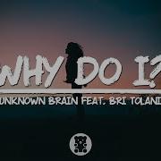 Unknown Brain Why Do I Feat Bri Tolani Lyrics Video