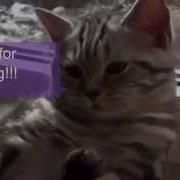 QuickDraw Animation Annotation Animation Case Study