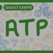 Биология уровня A АТФ Структура Как синтезируется и расщепляется Функции экзамены 2026 27